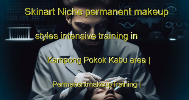 Skinart Niche permanent makeup styles intensive training in Kampong Pokok Kabu area | PermanentmakeupTraining | PermanentmakeupClasses | SkinartTraining-Malaysia